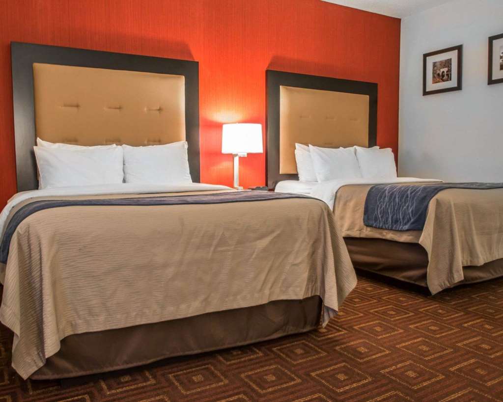 Quality Inn & Suites NJ State Capital Area - photo 21