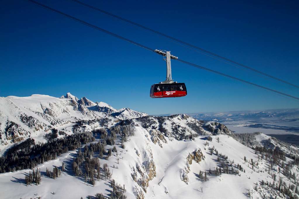 Hotel Terra Jackson Hole - photo 30