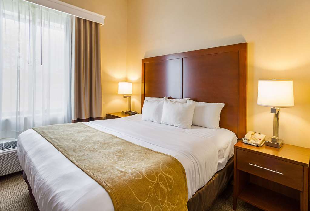 Comfort Suites Twinsburg - photo 25