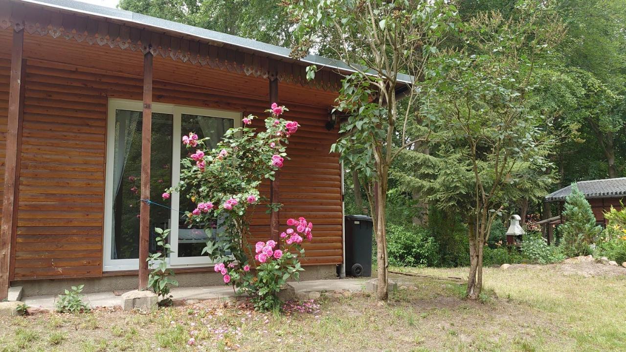 Waldhaus Halvor — hotel in Gardelegen