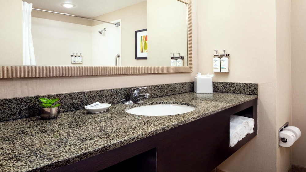 Holiday Inn Phoenix Chandler by IHG - photo 49