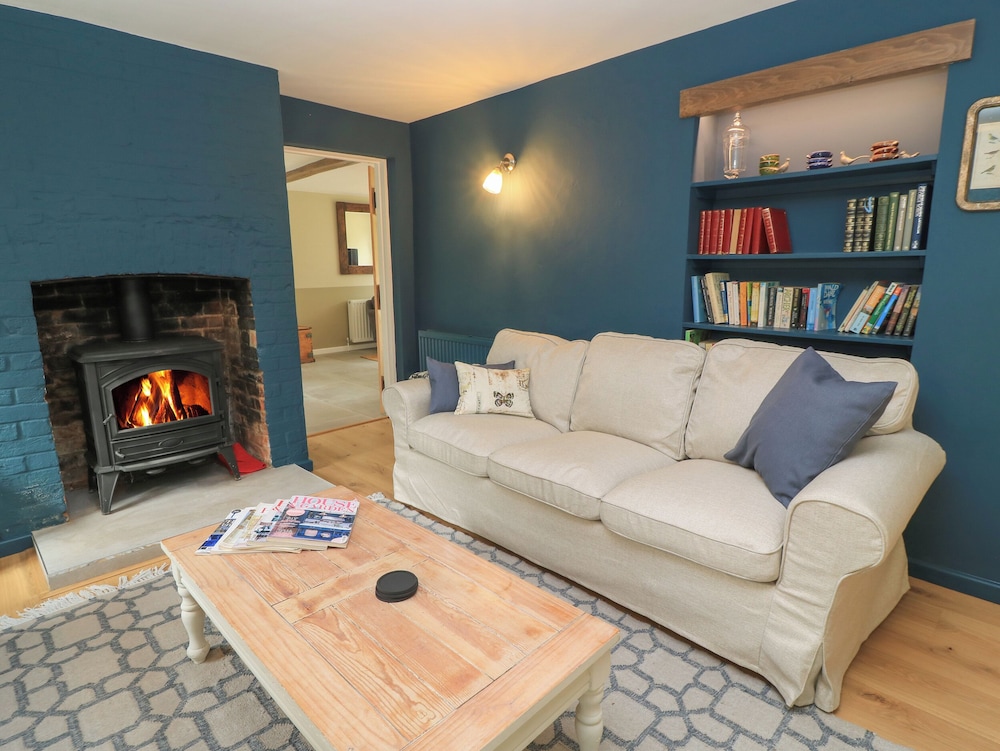 Kingfishers in Bampton, United Kingdom