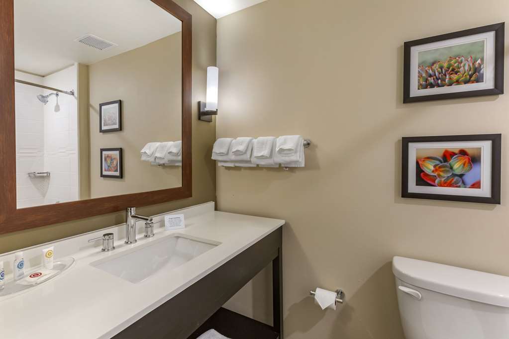 Comfort Suites Albuquerque Airport - photo 20