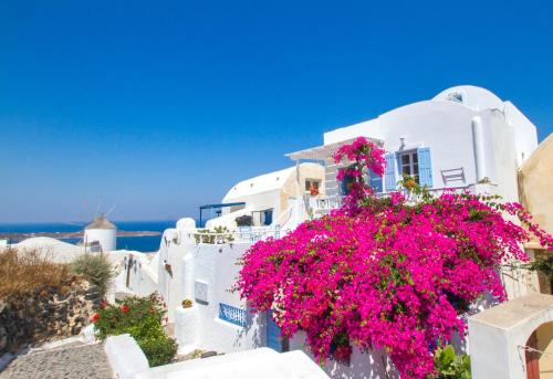 Evilio Houses — Oia — photo 5