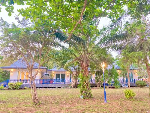 Love at First Sight in Chumphon, Thailand