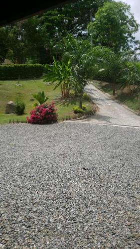 Entrepalmas — San Jeronimo — photo 2