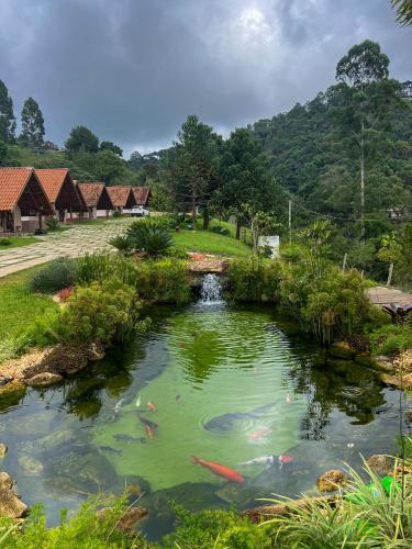 Chales Elliotti in Monte Verde, Brasil