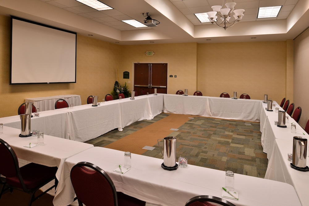 Holiday Inn Madison at The American Center by IHG - photo 55