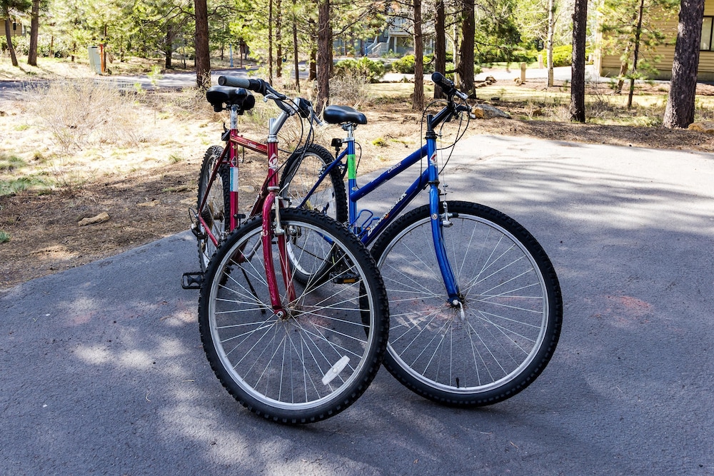 Mt Rose 2 - photo 18