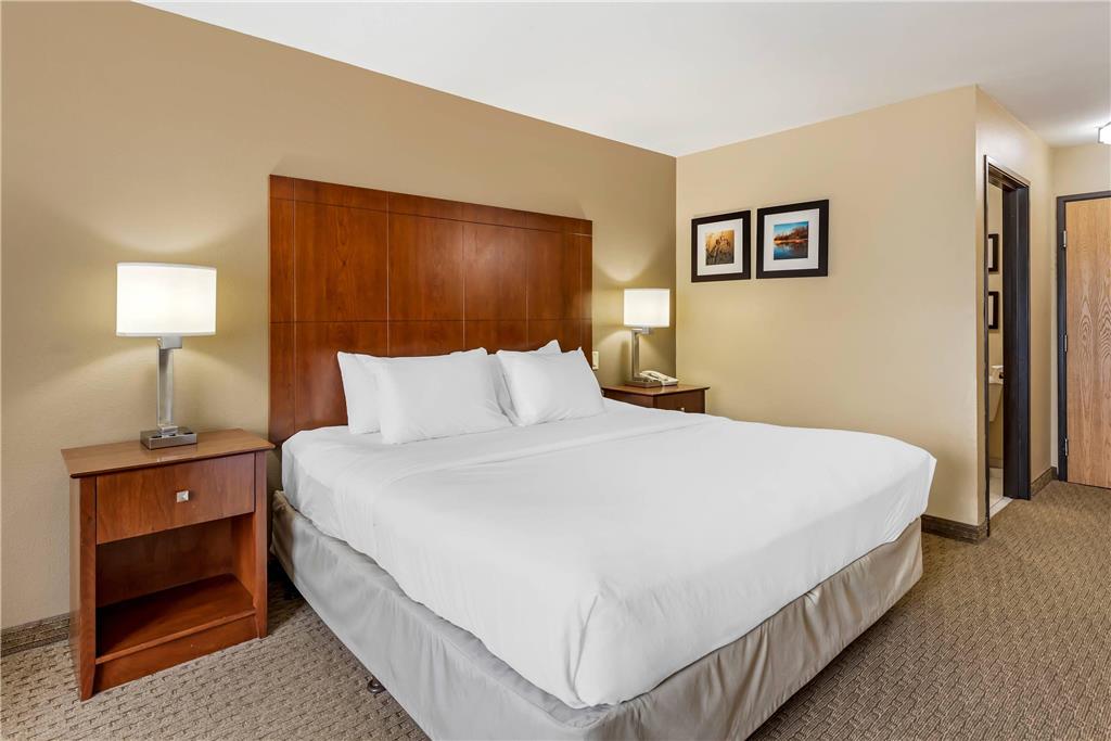 Comfort Inn & Suites East Moline near I 80 - photo 17