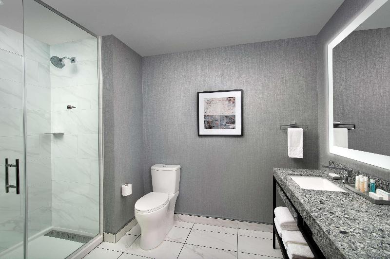 Embassy Suites by Hilton Knoxville Downtown - photo 61