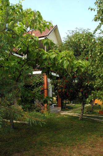 Dacha u Morya Bugaz in Unknown City, Ukraine