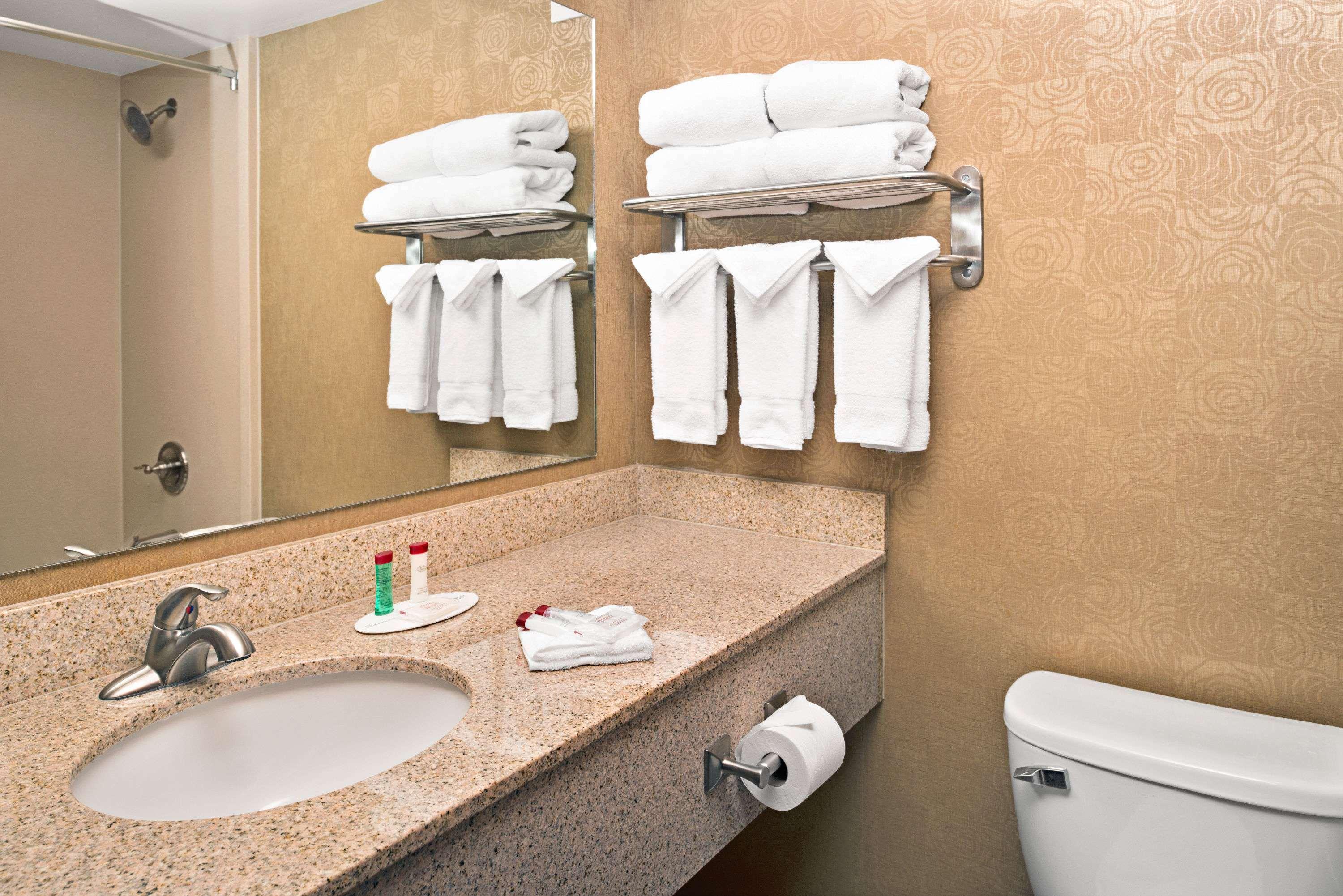 Ramada Plaza by Wyndham Omaha - photo 19