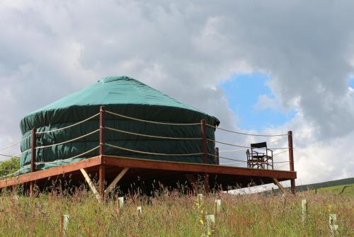Ettrick Valley Yurts in Selkirk, United Kingdom