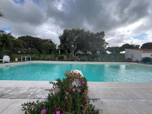 Il Lentischio Domo Mea pet-friendly hotel Nulvi