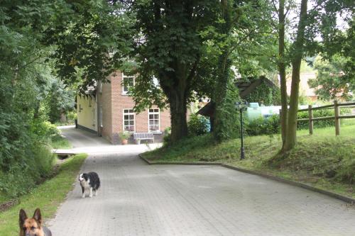 Countryhouse Zuid Limburg — Nuth — photo 2