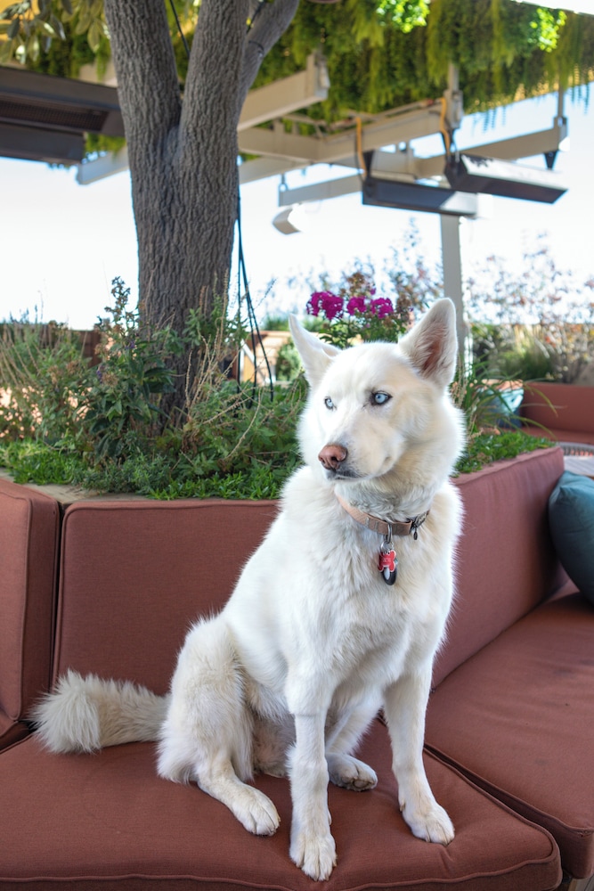 Halcyon a hotel in Cherry Creek - photo 81