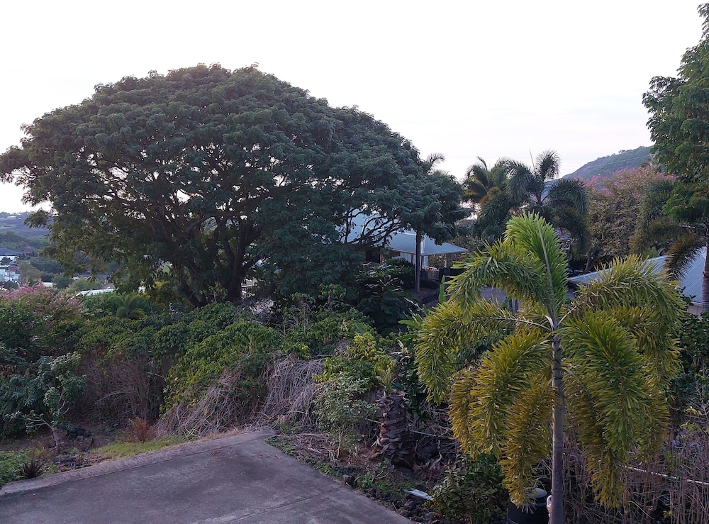 Kona Palace in Captain Cook - photo 22