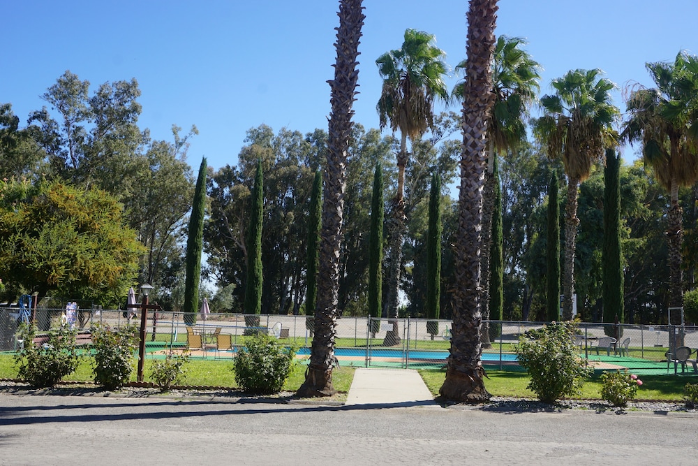 Blue Gum Motel - photo 34