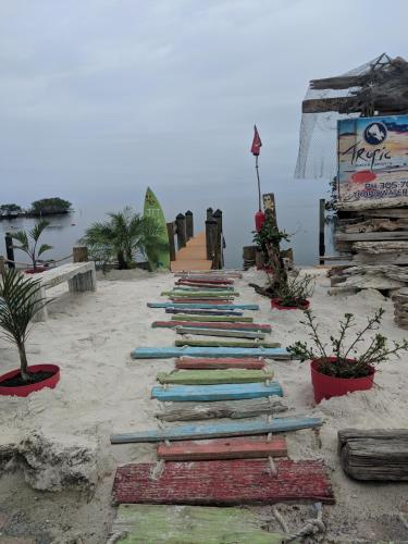 Snappers Key Largo - photo 3