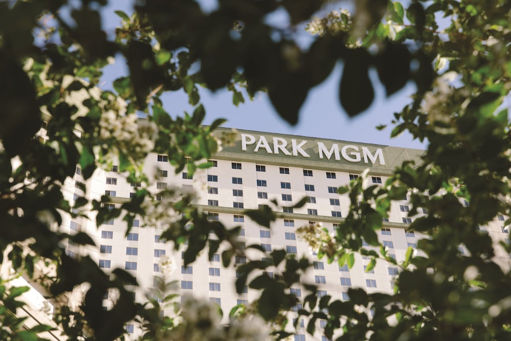 Park Mgm Las Vegas - photo 74