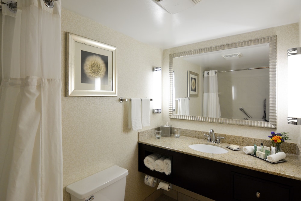 Hilton Palm Beach PBI - photo 69