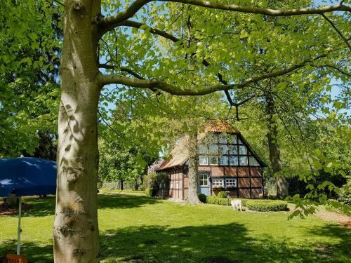 Peaceful Oasis In Pristine Nature - last minute hotel in Unknown City