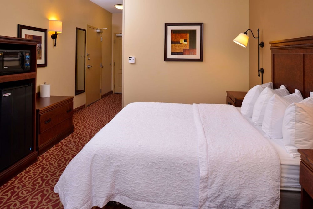Hampton Inn by Hilton Lincoln - photo 15