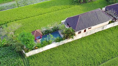 Private pool Villa Sawah Sewon — 4-Star Luxury Hotel in Yogyakarta, Indonesia