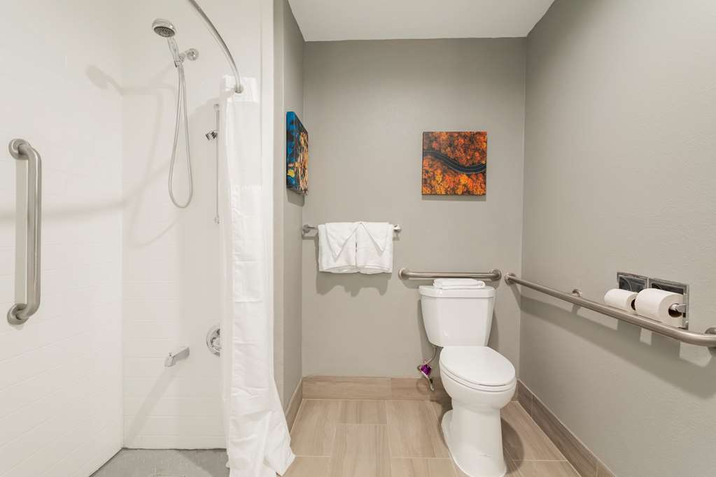 Best Western Plus Magnolia Inn Suites - photo 38