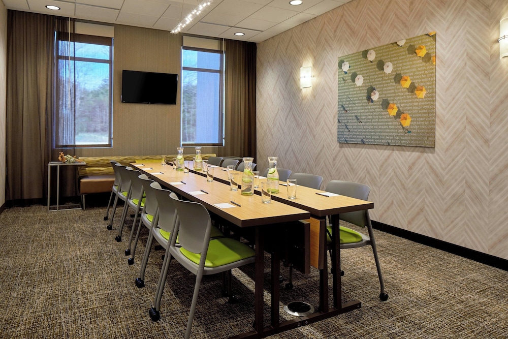 SpringHill Suites by Marriott Charlotte at Carowinds - photo 29
