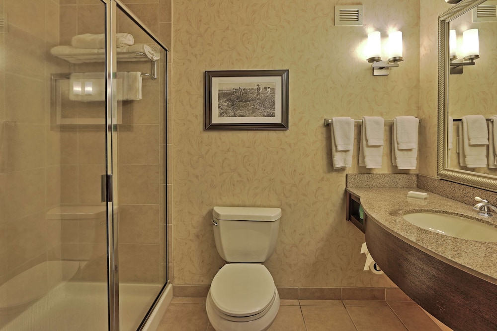 Hilton Garden Inn Las Cruces - photo 30