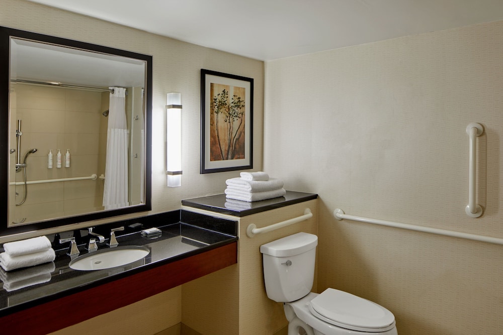 Detroit Metro Airport Marriott - photo 33