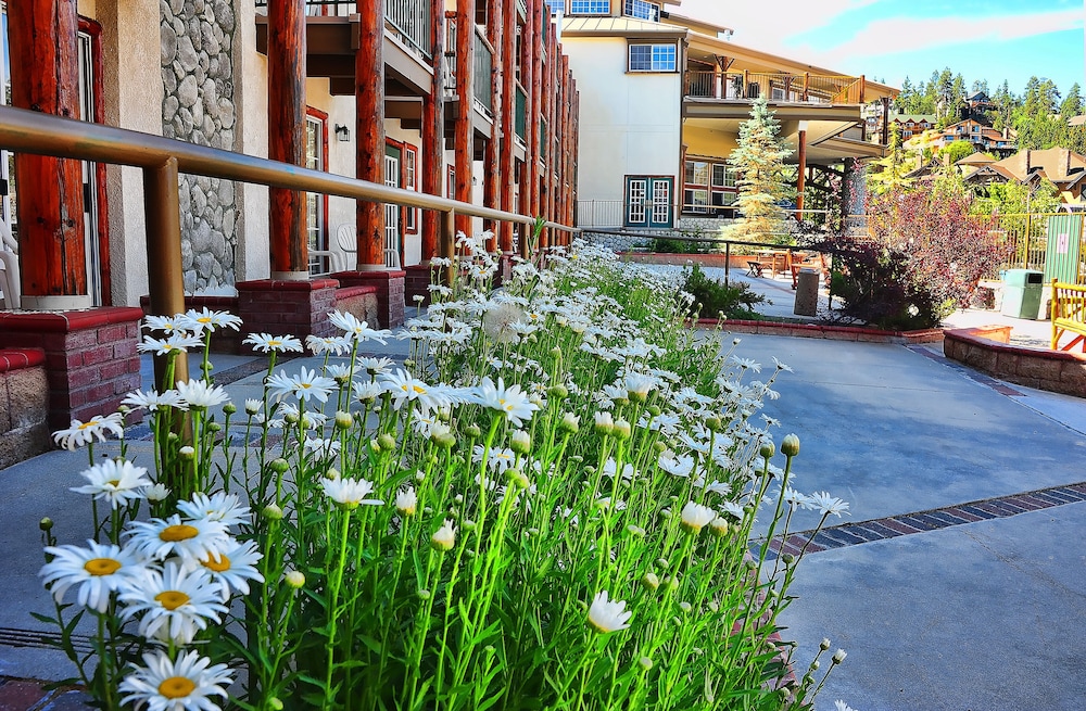 Holiday Inn Resort The Lodge At Big Bear Lake by IHG - photo 73