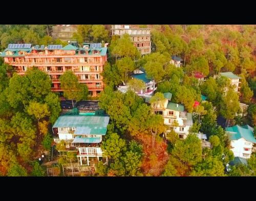 Pine Drive Resort - carbon neutral hotel in Shimla
