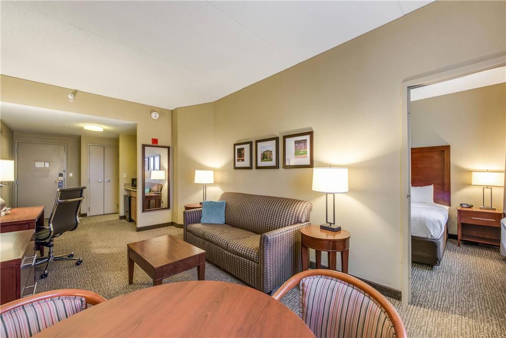 Comfort Suites Chicago O'Hare Airport - photo 29
