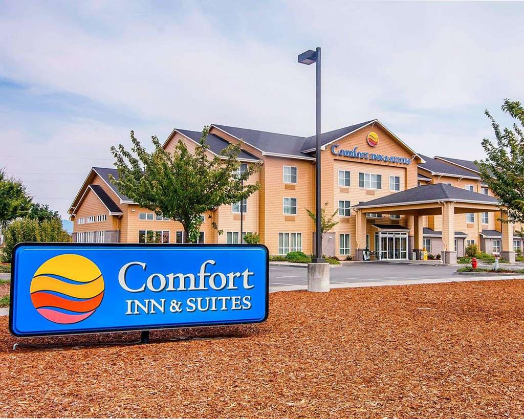 Comfort Inn & Suites Creswell - photo 2