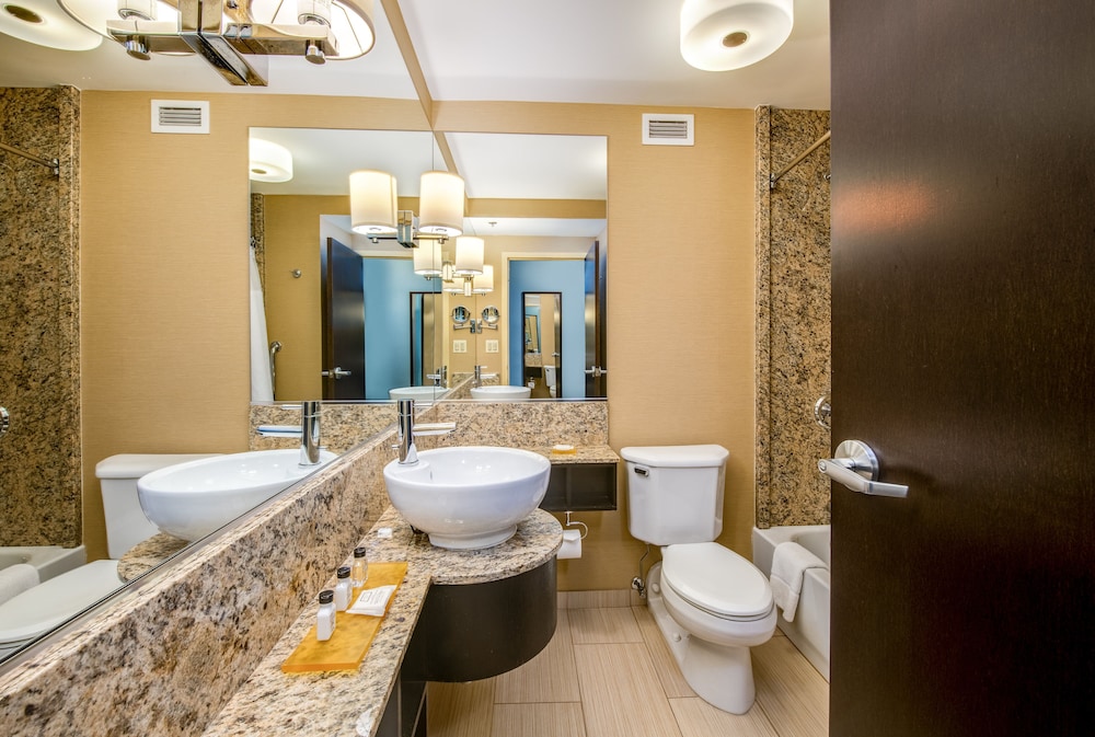 Crowne Plaza Chicago Ohare Hotel & Conf Ctr by IHG - photo 19