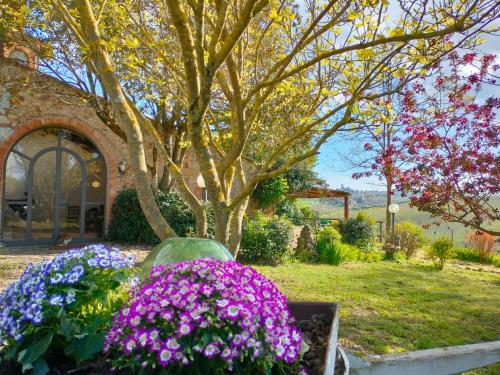 Casa Sala & Pepe — 4-Star Luxury Hotel in Tavarnelle Val Di Pesa, Italy