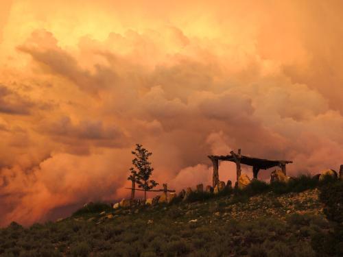 Canyon Of The Ancients Guest Ranch - photo 42