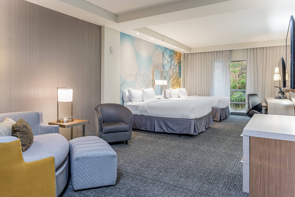Courtyard by Marriott Asheville Biltmore Village - photo 13