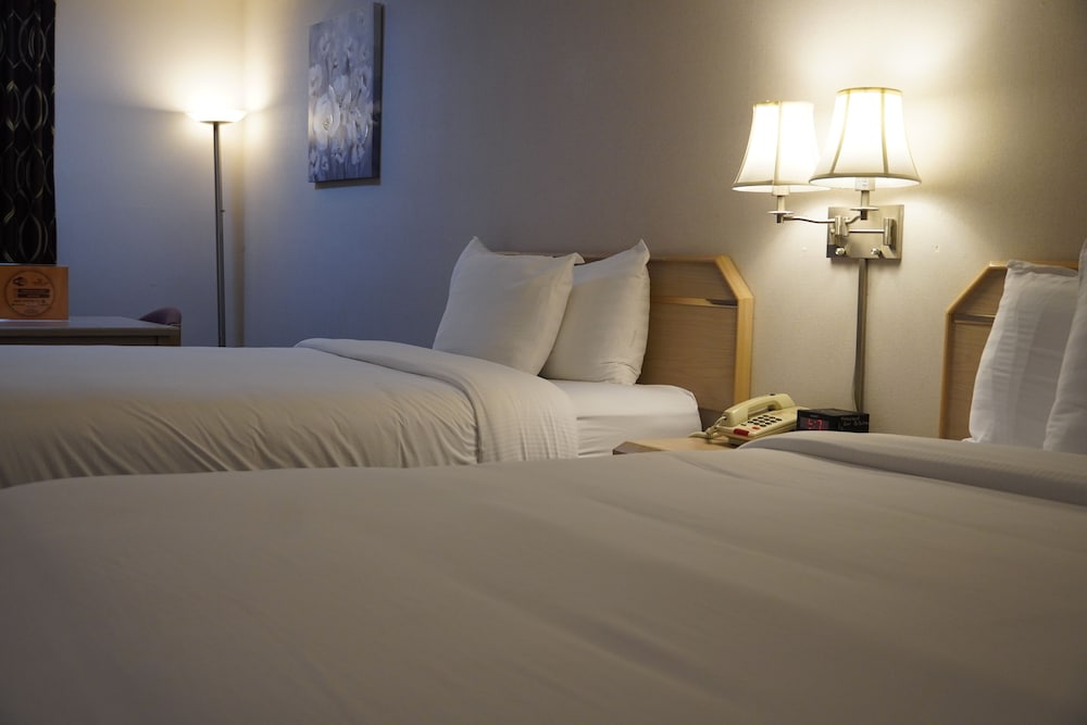 Timberland Inn & Suites - photo 43
