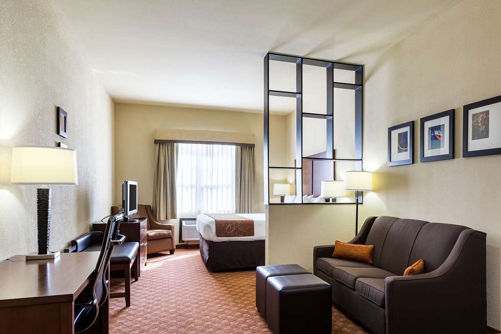 Comfort Suites near NASA Clear Lake - photo 22