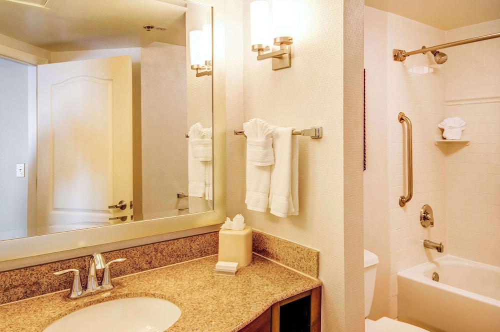 Hilton Garden Inn Tampa Ybor Historic District - photo 18