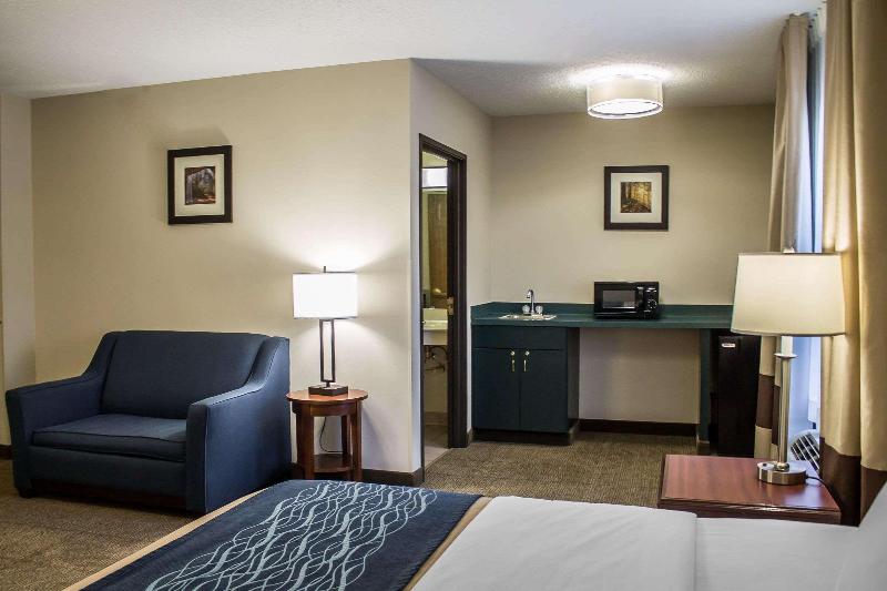 Comfort Inn - photo 8