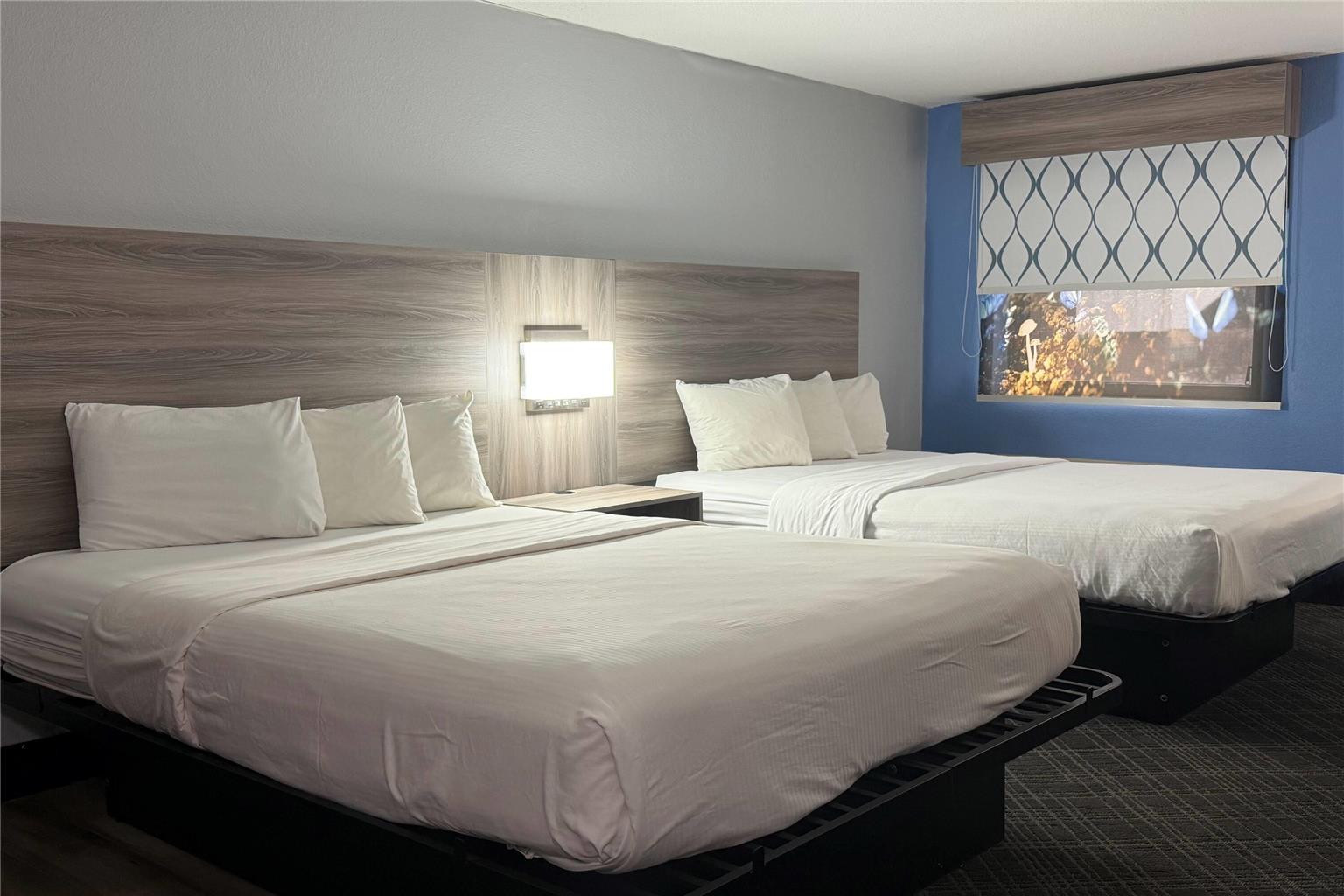 Baymont by Wyndham Indianapolis South - photo 27