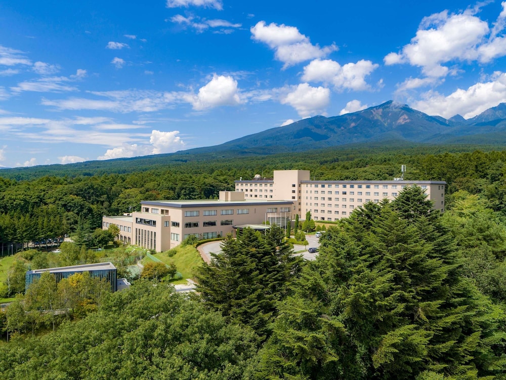 Grand Mercure Yatsugatake Resort & Spa in Hokuto, Japan