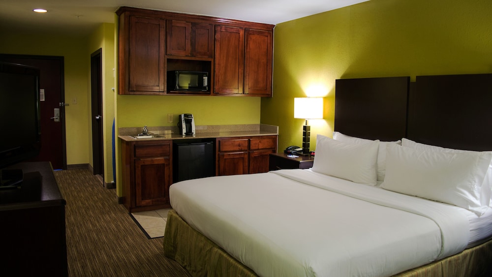 Holiday Inn Express & Suites Waller Prairie View by IHG - photo 10