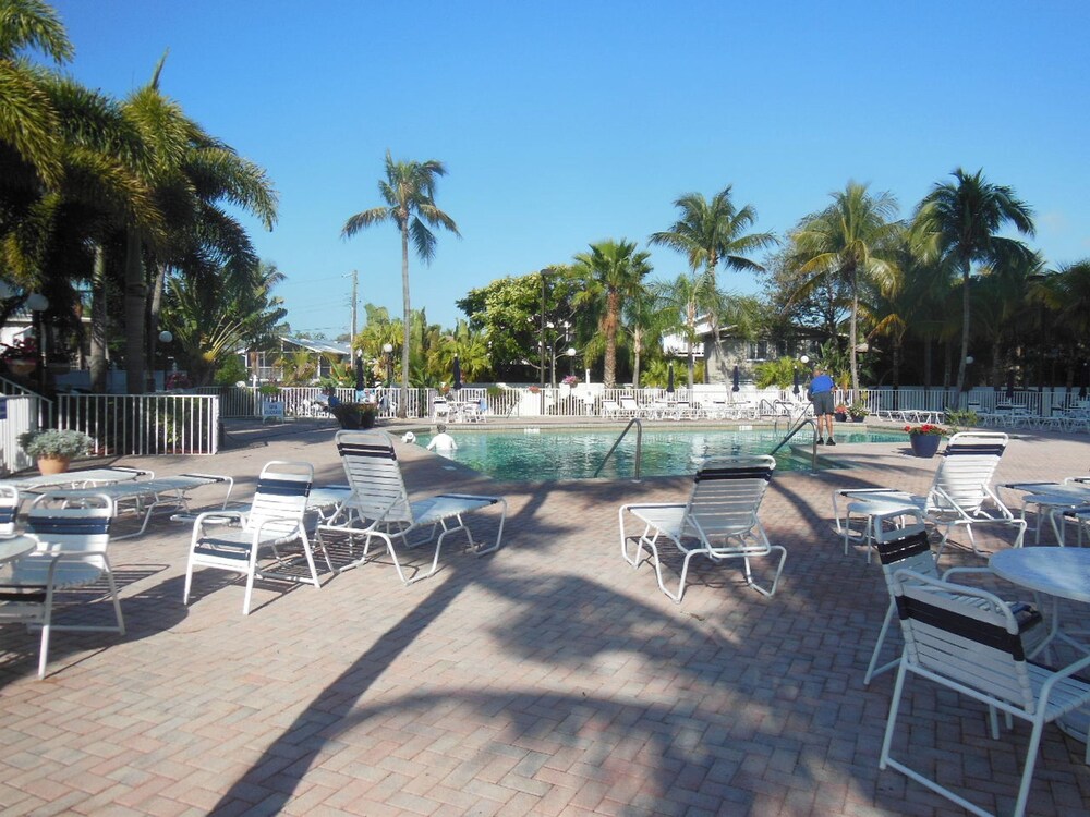 Ocean Harbor 1505b - photo 26