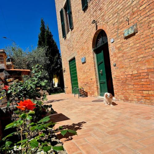 Appartamento Rosa blu — 4-Star Luxury Hotel in San Casciano Dei Bagni, Italy